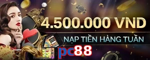 pc88