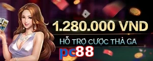 pc88
