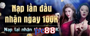 pc88