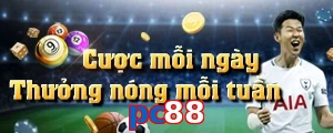 pc88